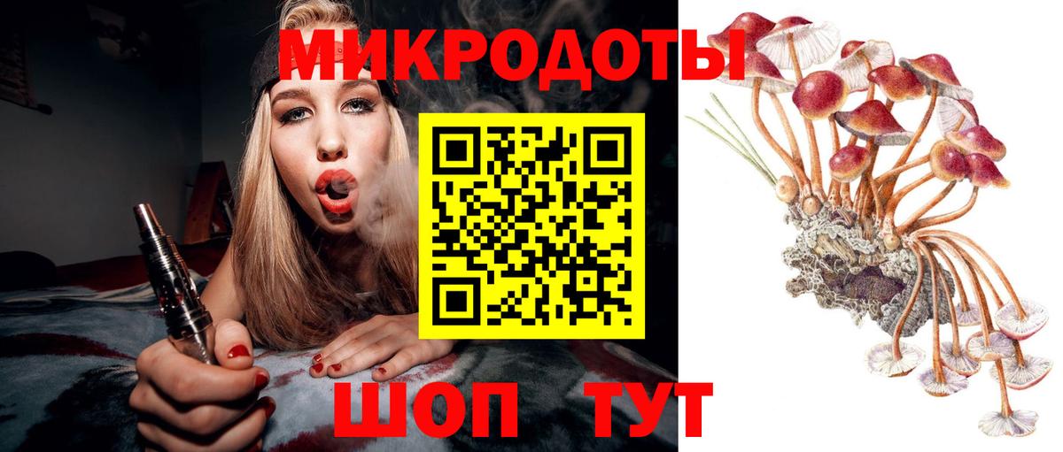 Орехово-Зуево  Псилоцибиновые грибы мицелий  Вход с VPN 